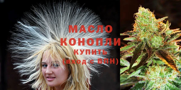 прущие грибы Снежногорск