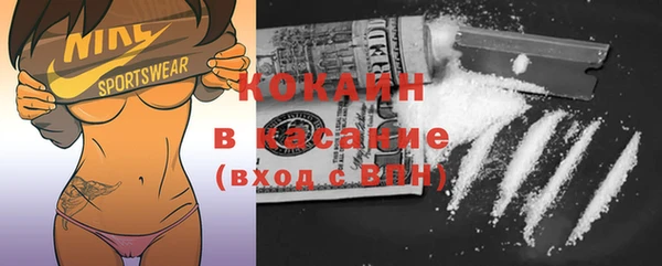 мяу мяу мука Баксан