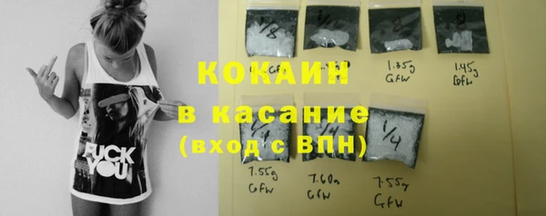 бошки Снежинск