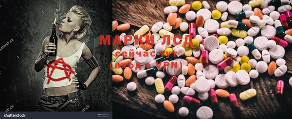 мяу мяу мука Баксан