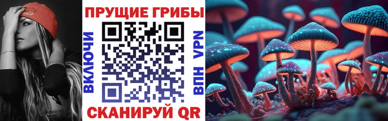 Галлюциногенные грибы Psilocybine cubensis  Плёс 